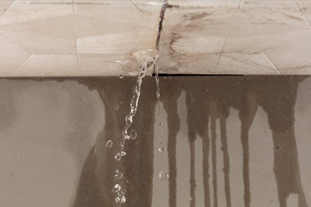 Professional Water Extraction technician working in Bay Center, WA